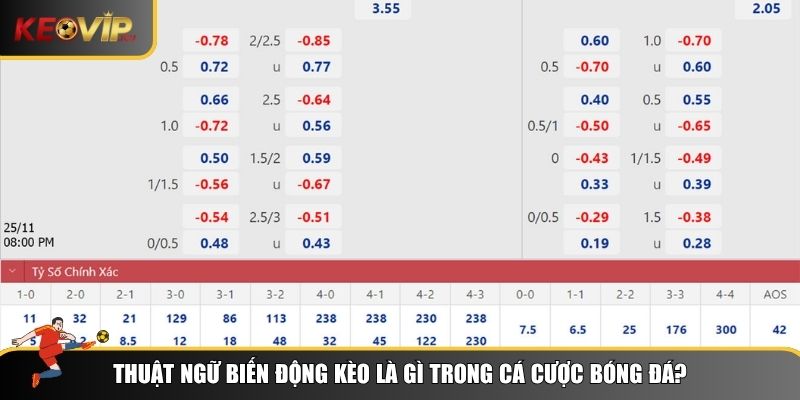 Tìm hiểu chung về biến động kèo là gì