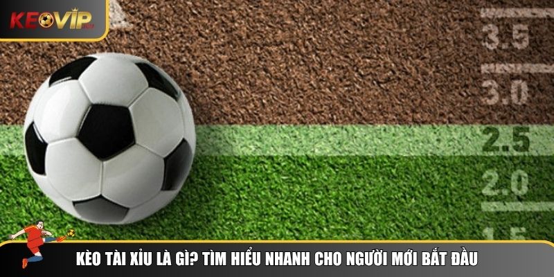 Những điều cơ bản về kèo tài xỉu