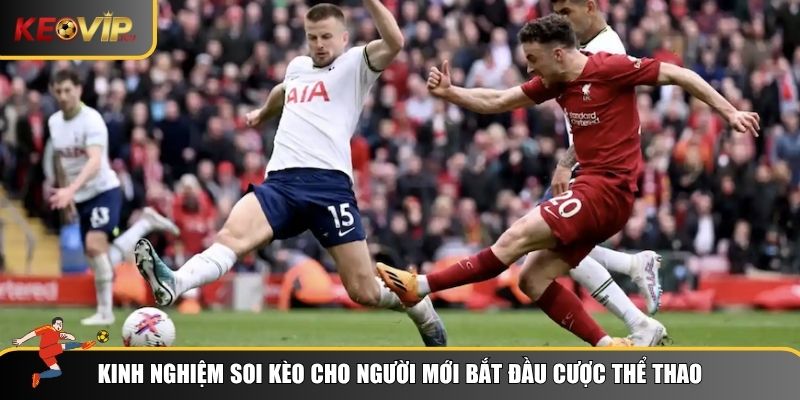 Kinh nghiệm soi kèo bao chuẩn cho newbie