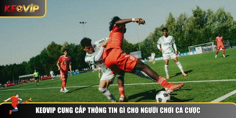 Keovip mang đến vô vàn thông tin bóng đá hữu ích