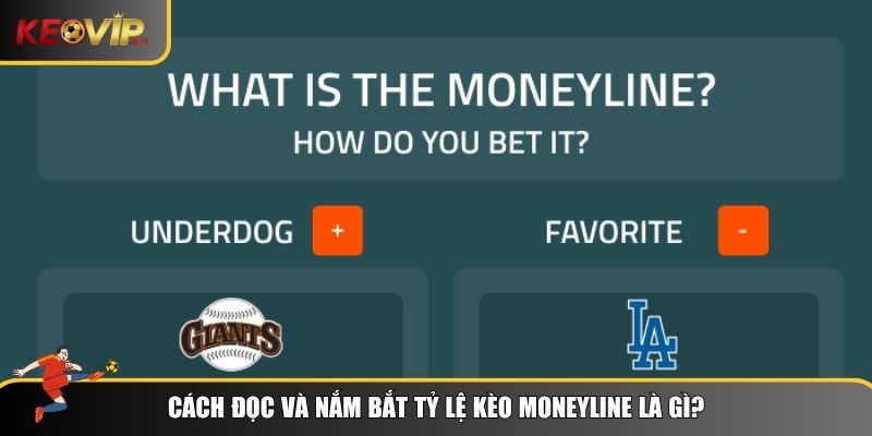 Cách đọc và hiểu tỷ lệ kèo Moneyline là gì