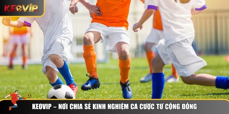 Chuyên mục kinh nghiệm Keovip với nhiều điều bổ ích