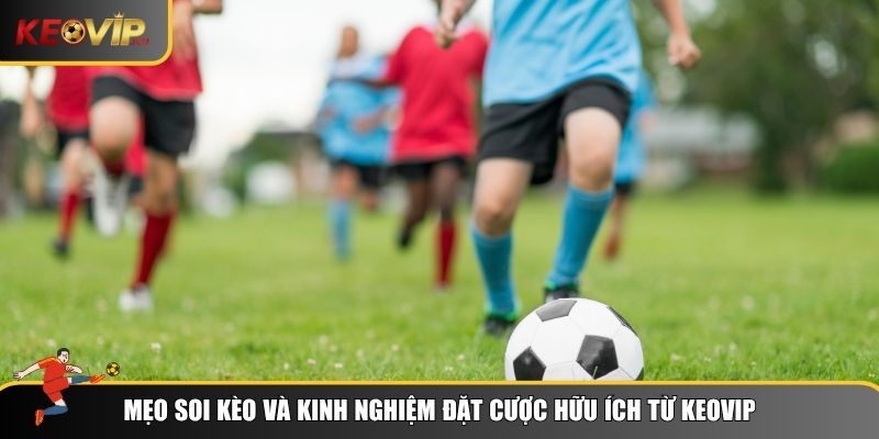 Mẹo cược và soi kèo được chuyên gia Keovip cung cấp