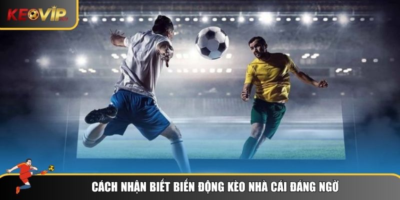 Cách nhận biết biến động kèo nhà cái đáng ngờ