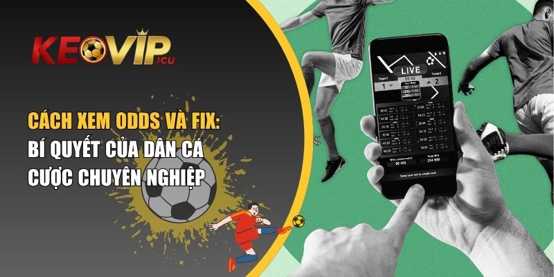 Cách xem Odds và Fix