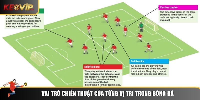 Mỗi vị trí trong bóng đá đều được quy định để thực hiện nhiệm vụ chiến thuật cụ thể